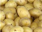 Картофель дешевеет в России уже третью неделю подряд