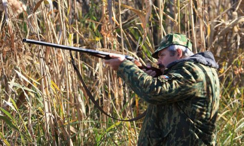 На Камчатке запретили охоту на гусей и уток, зимовавших в префектуре Фукуси ...