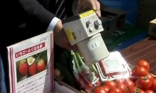 Премьер Японии Юкио Эдано попробовал фукусимские томаты, потом – клубнику