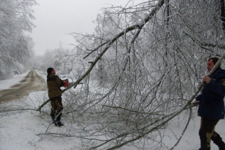 На Сахалине циклон оборвал ЛЭП - нарушено энергоснабжение