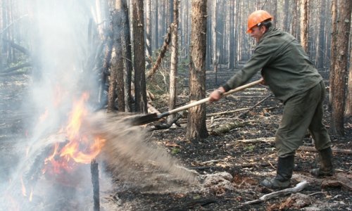 На территории Сибирского федерального округа действует 55 очагов лесных пож ...