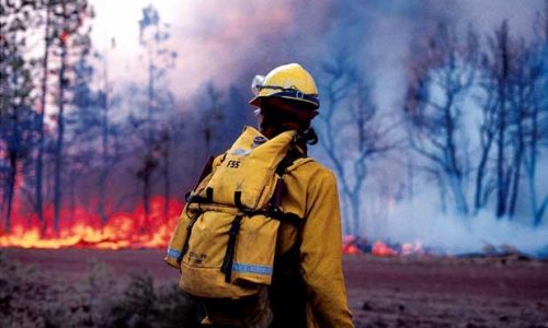В Забайкальском крае из-за лесных пожаров введен режим ЧС