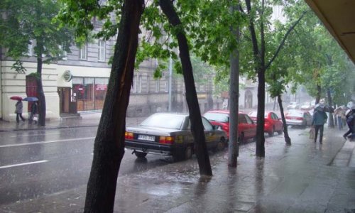 В Москве ожидаются грозы с порывистым ветром