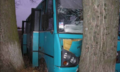 В Ленинградской области автобус врезался в дерево