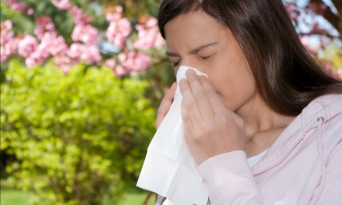 Вылечить аллергию нельзя – ее можно только взять под контроль