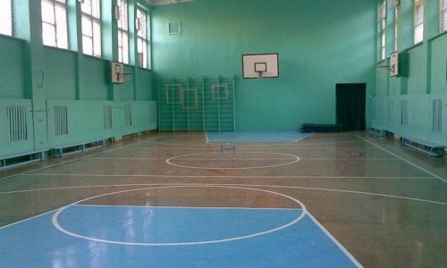 Суд Иркутской области оправдал школьника, избивавшего учительницу физкульту ...