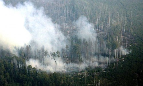 В Бурятии потушены все лесные пожары