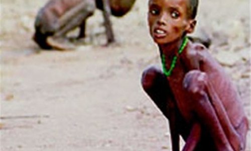 В Восточной Африке пункты гуманитарной помощи переполнены голодающими