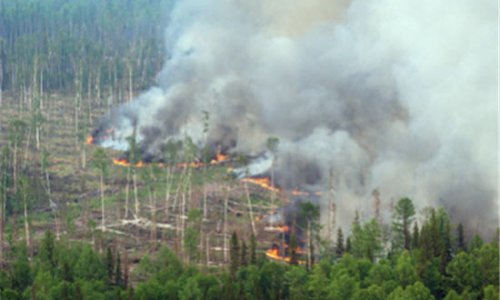 В Сибири осталось потушить два природных пожара