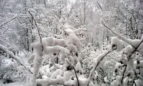 В Москве и области небольшой морозец и немного снега
