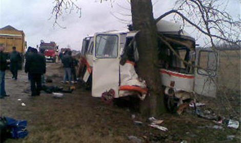 Водитель рейсового автобуса не справился с управлением и врезался в дерево