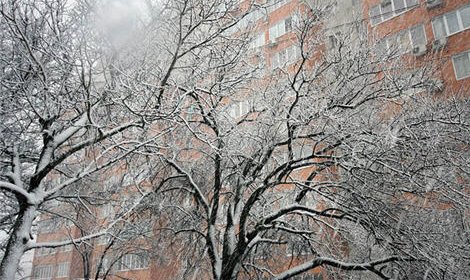 Непогода в Краснодарском крае оставила без света более 8 тысяч человек