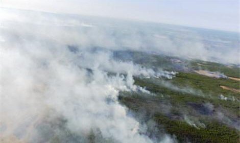 В Забайкальском крае начала гореть тайга