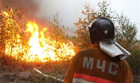 На территории Сибири полыхают 70 очагов природных пожаров