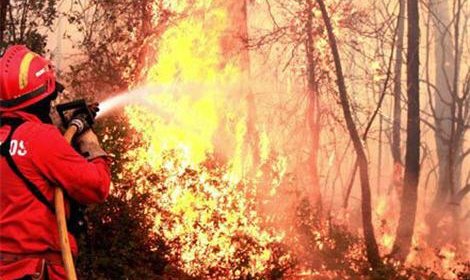 В Сибири сегодня зарегистрированы 27 природных пожаров на площади 967 га