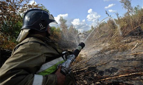 На Дальнем Востоке остаются 10 лесных пожаров на площади 119 гектаров