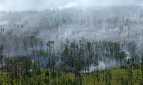 В Сибири 23 очага лесных пожаров охватили площадь в 1979 га