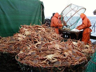 В Татарском проливе с задержанного судна-браконьера выпущено около 2 тонн к ...