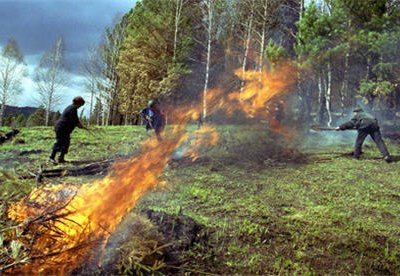 В Сибири площадь природных пожаров за сутки возросла вдвое