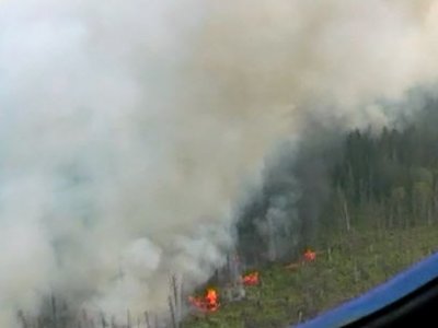 Новосибирскую область заволокло густым дымом от лесных пожаров