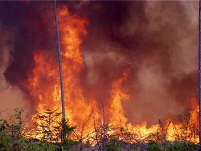 В восьми районах Красноярского края 54 лесных пожара