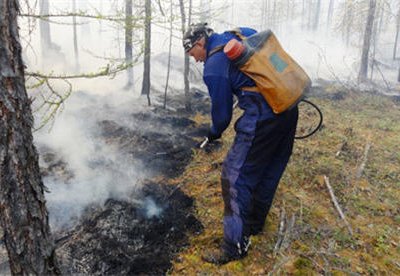 На Дальнем Востоке ликвидировано за сутки 11 из 38 лесных пожаров