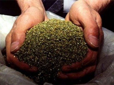 Наркополицейские в Приморье изъяли 48 кг марихуаны у двух местных жителей