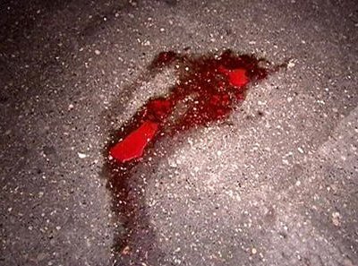 В Костромской области во время охоты на кабана был убит 37-летний мужчина
