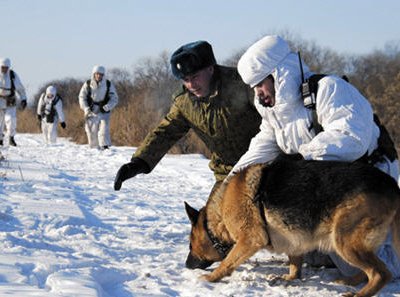 Пограничники Оренбургской области задержали особо опасного рецидивиста