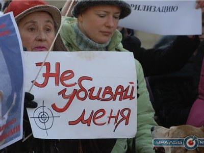 В Орске на Комсомольской площади с 14:00 до 16:00 пикет в защиту бездомных животных