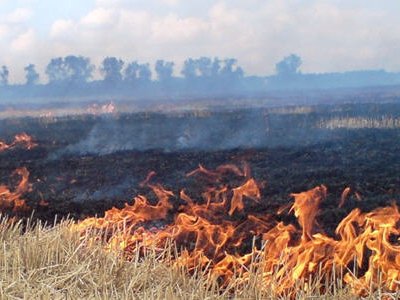 Накануне степной пожар поставил под угрозу поселок Новоказачий под Орском