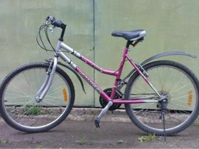 Житель Акбулакского района украл детский велосипед и подарил его своей дочери
