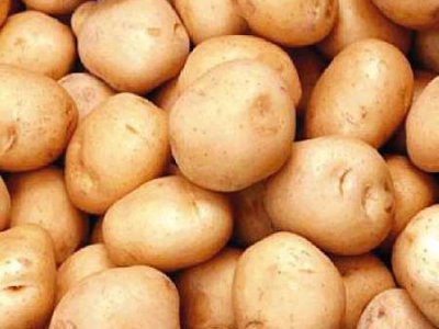 Россия запретила ввоз украинского картофеля